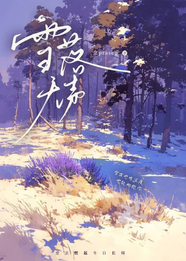 〖无限〗雪落无声