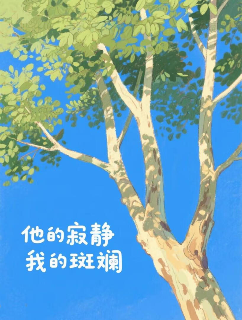 他的寂静我的斑斓