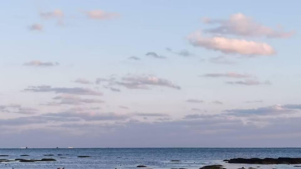 【歌剧魅影-乙女/梦女】重生之我在波斯当驴（GBG）