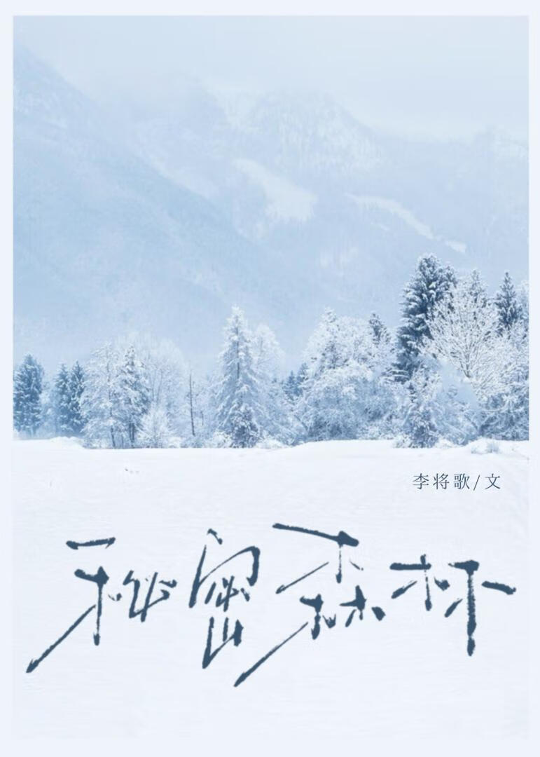 秘密森林[伪背德]