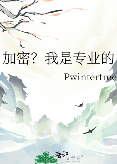 加密？我是专业的