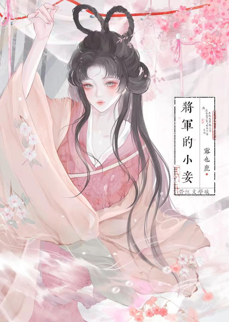 将军的小妾