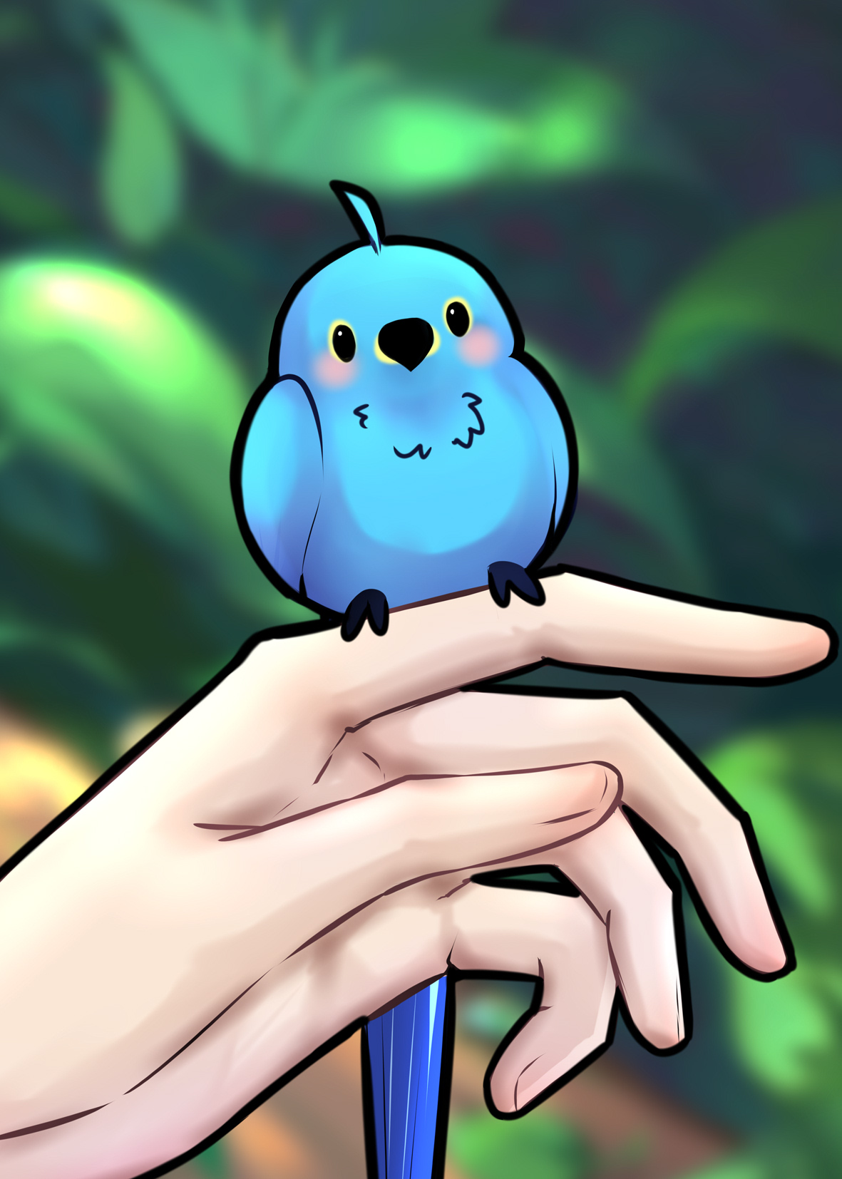 顶流家鹦球福缘深厚会预言