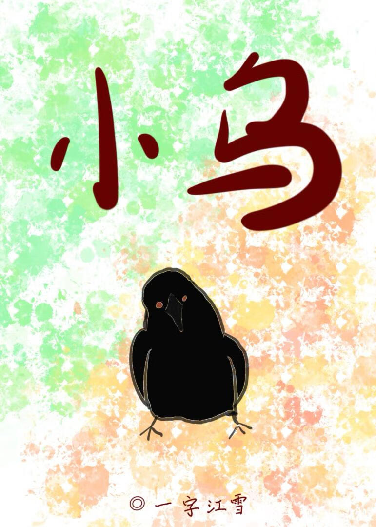 小乌今天也在用力活着