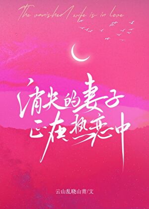 消失的妻子正在热恋中